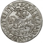 Sigismund II Augustus, Half-penny Vilnius 1547 - LITV - very rare