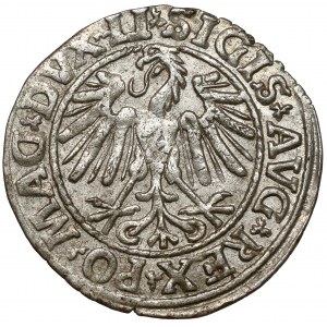 Sigismund II Augustus, Half-penny Vilnius 1547