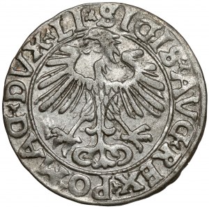 Sigismund II. Augustus, halber Pfennig Vilnius 1556