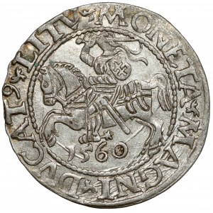 Sigismund II. Augustus, Halbpfennig Wilna 1560