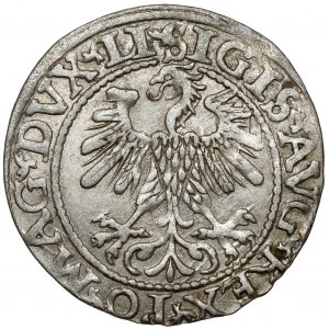 Zikmund II August, půlpenny Vilnius 1560
