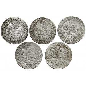 Sigismund II Augustus, Vilnius half-penny 1548-1563, set (5pcs)