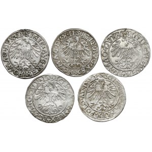 Sigismund II Augustus, Vilnius half-penny 1548-1563, set (5pcs)