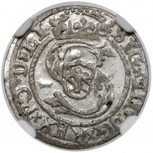 Žigmund III Vasa, rižská polička 1599 - razené
