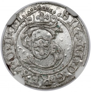 Zygmunt III Waza, Szeląg Ryga 1598 - menniczy