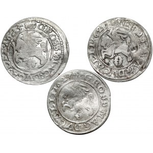 Sigismund III Vasa, Vilnius penny 1625-1627, set (3pcs)