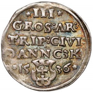Zikmund I. Starý, Trojak Gdaňsk 1536 - velmi pěkný