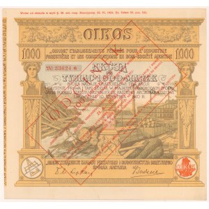 OIKOS Union dřevařský průmysl a stavebnictví, 1 000 mkp 1920