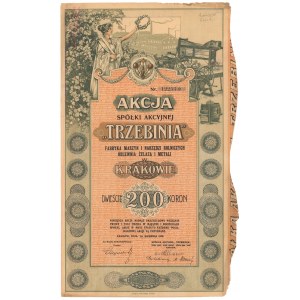 TRZEBINIA Fabrik für landwirtschaftliche Maschinen und Werkzeuge Eisen- und Metallgießerei, 200 kr 1919