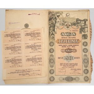 TRZEBINIA Továreň na poľnohospodárske stroje a náradie Zlieváreň železa a kovov, 200 kr 1919