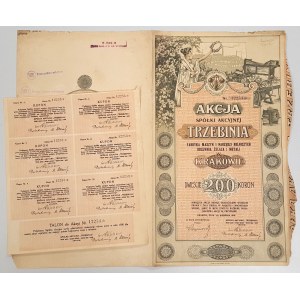 TRZEBINIA Továrna zemědělských strojů a nářadí Slévárna železa a kovů, 200 kr 1919