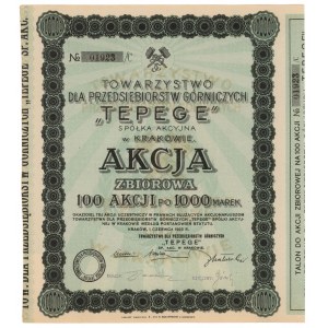 TEPEGE Tow. für Bergbauunternehmen, 100x 1.000 mkp 1923