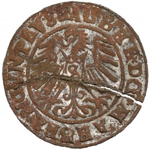 Prusko, Albrecht Hohenzollern, Königsberg penny 1545 - dobový padělek