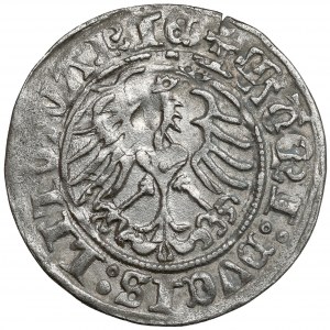 Sigismund I. der Alte, Halber Pfennig Vilnius 1513