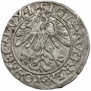 Zikmund II August, půlpenny Vilnius 1561