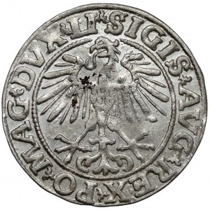 Žigmund II August, polgroš Vilnius 1551