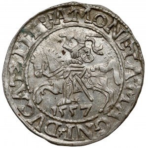 Sigismund II. Augustus, halber Pfennig Vilnius 1557