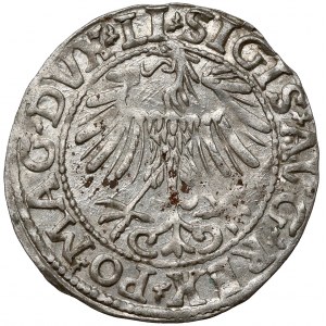 Zikmund II August, půlpenny Vilnius 1557