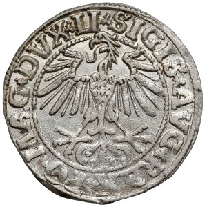Sigismund II Augustus, Half-grosz Vilnius 1550