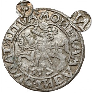 Sigismund II Augustus, halber Pfennig Vilnius 1557 - 2x Klee - umgekehrtes N