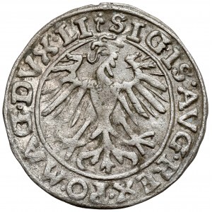 Žigmund II August, polgroš Vilnius 1557 - 2x ďatelina - obrátený N