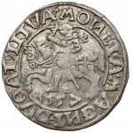 Sigismund II Augustus, halber Pfennig Vilnius 1557 - 2x Klee - umgekehrtes N