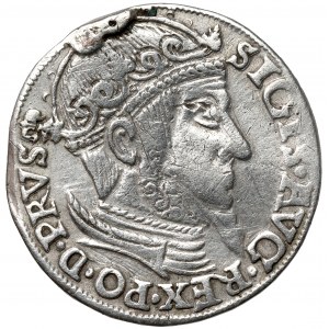 Sigismund II Augustus, Trojak Danzig 1557