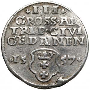 Sigismund II Augustus, Trojak Danzig 1557