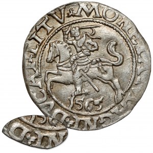 Sigismund II Augustus, halber Pfennig Vilnius 1565 - OHNE Axt - selten