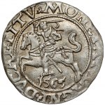 Sigismund II Augustus, halber Pfennig Vilnius 1565 - OHNE Axt - selten