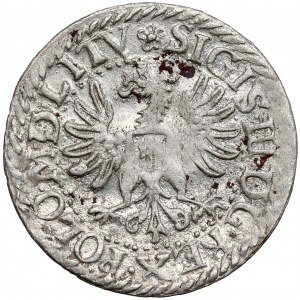Žigmund III Vasa, Vilniuský groš 1613 - vzácny ročník