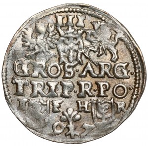 Sigismund III Vasa, Trojak Poznań 1597 - long orifice