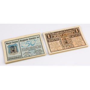 Cieszyn, 50 halerzy i 1 korona 1919 - zestaw (23szt)