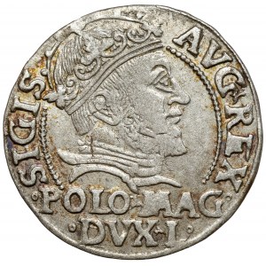 Sigismund II Augustus, Grosz na stopa polską 1547, Vilnius