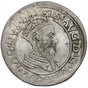 Zygmunt II August, Czworak Wilno 1566
