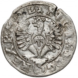 Sigismund III. Wasa, Halbspur Bromberg 1614 - Adler - selten
