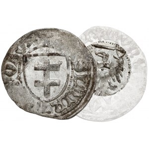 Casimir IV Jagiellonian, Szeląg Toruń - WITHOUT shield - very rare