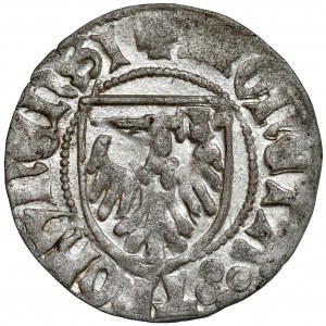 Kasimir IV. Jagiellonian, Szeląg Toruń - Kreuze - schön