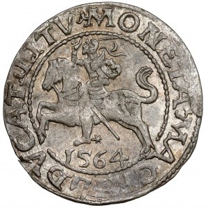 Zygmunt II August, Półgrosz Wilno 1564 - Pogoń 21