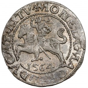 Sigismund II Augustus, Half-penny Vilnius 1564 - Pogon 21