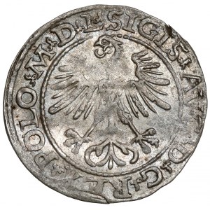 Sigismund II Augustus, Half-penny Vilnius 1564 - Pogon 21