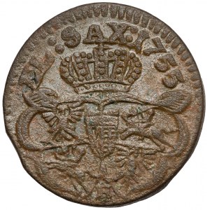 August III Saxon, Gubin 1755 penny - letter H