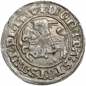 Zikmund I. Starý, Półgrosz Wilno 1510