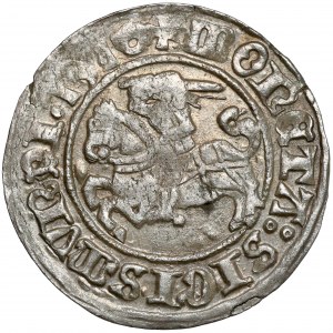 Sigismund I. der Alte, Półgrosz Wilno 1510