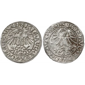 Sigismund II Augustus, Half-penny Vilnius 1549 and 1562 (2pcs)