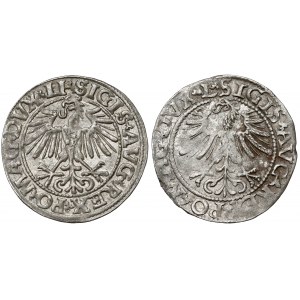 Sigismund II Augustus, halber Pfennig Vilnius 1549 und 1562 (2 Stück)