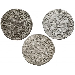 Sigismund II Augustus, Vilnius half-penny 1548-1557, set (3pcs)