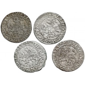 Sigismund II Augustus, Vilnius half-penny 1559-1565, set (4pcs)