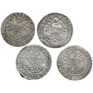 Sigismund II Augustus, Vilnius half-penny 1559-1565, set (4pcs)