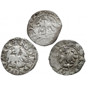 Ladislaus II Jagiello, Half-penny Cracow - set (3pcs)